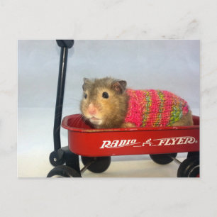 Baloo Goes for a Wagon Ride Postcard