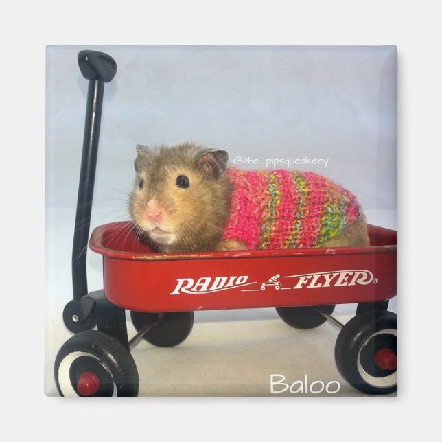 Baloo in his Red Wagon Magnet (Front)