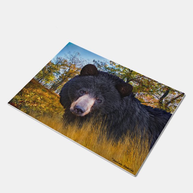 "Baloo The Bear" Doormat (Angled)
