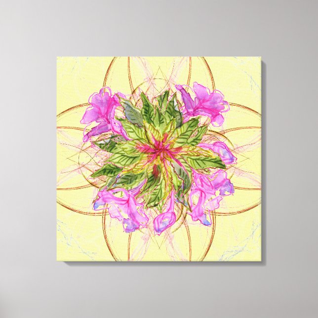 Balsam Bouquet Canvas Print (Front)