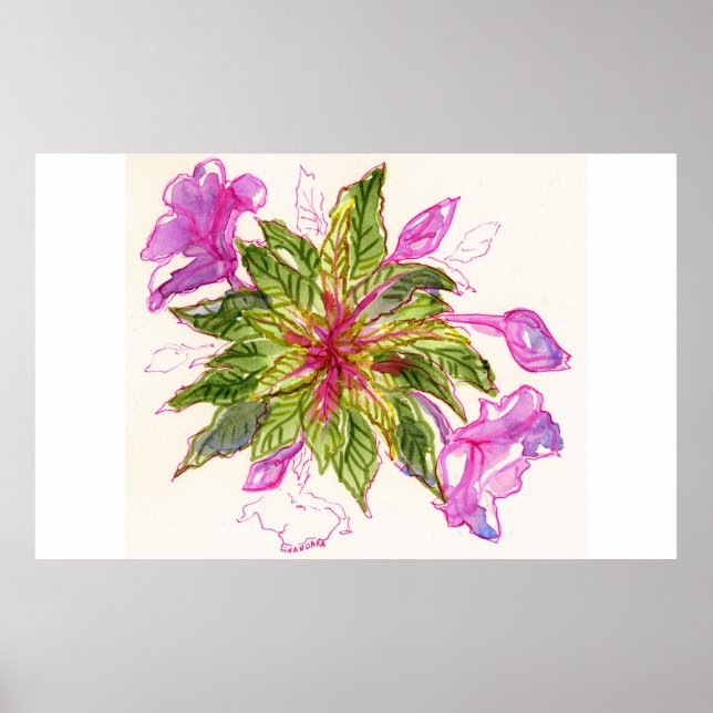 Balsam Bouquet Poster (Front)