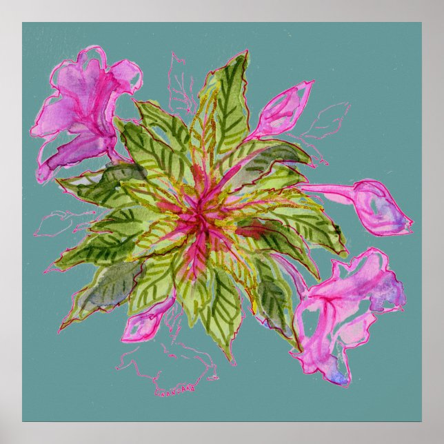 Balsam Bouquet Poster (Front)