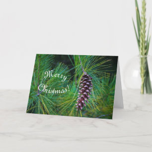 Balsam PIne Holiday  Card