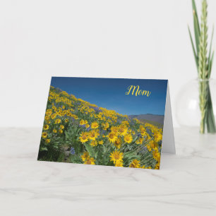 Balsamroot bloom Mother's Day Card