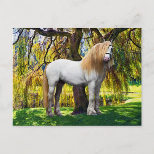 "Balthasar" Postcard