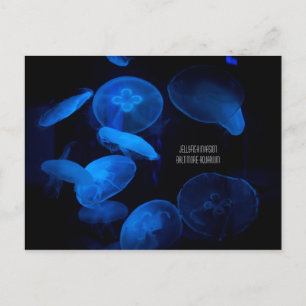 Baltimore Aquarium - Jellyfish Invasion Postcard