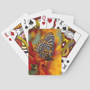Baltimore-Chequered Butterfly Playing Cards