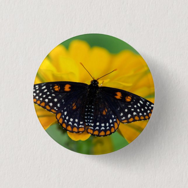 Baltimore Chequered Spot Butterfly 1 Inch Round Button (Front)