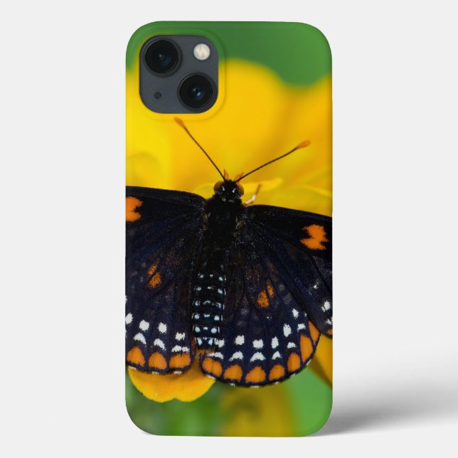 Baltimore Chequered Spot Butterfly Case-Mate iPhone Case (Back)