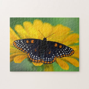 Baltimore Chequered Spot Butterfly Jigsaw Puzzle