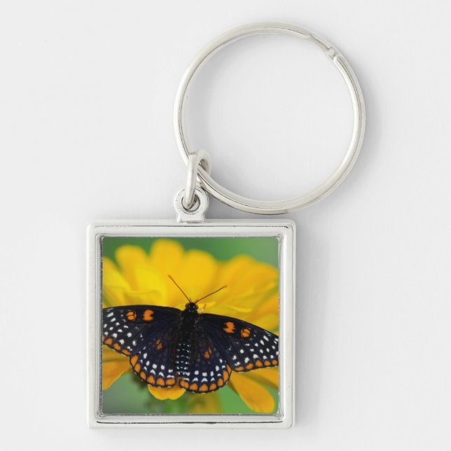 Baltimore Chequered Spot Butterfly Keychain (Front)