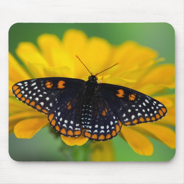 Baltimore Chequered Spot Butterfly Mouse Pad (Front)