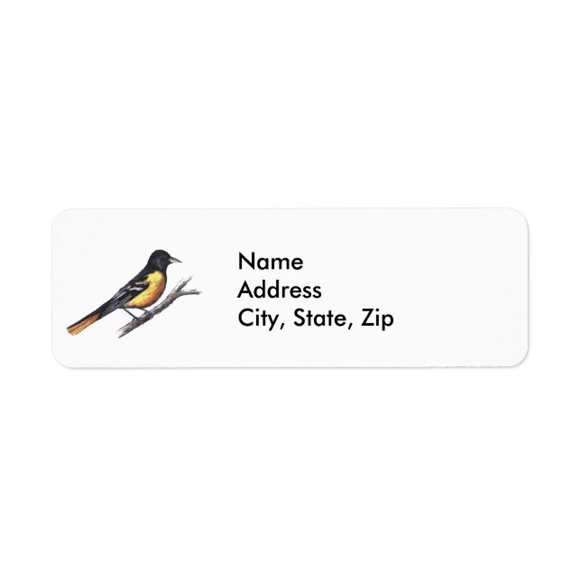 Baltimore Oriole (Front)