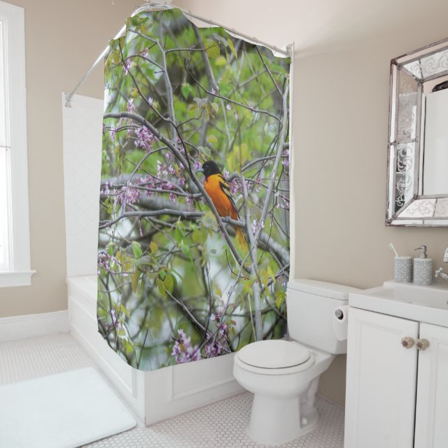 Baltimore Oriole (In Situ)