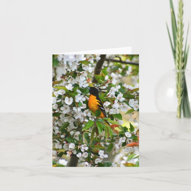 Baltimore Oriole #1 - Carte à billets vierges (Devant)