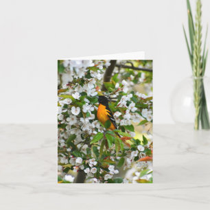 Baltimore Oriole #1 - Carte à billets vierges