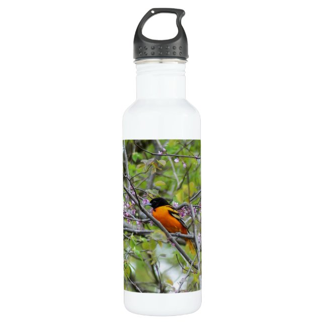 Baltimore Oriole 710 Ml Water Bottle (Front)