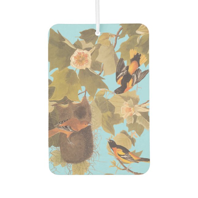 Baltimore Oriole Audubon Bird Family with Nest Air Freshener (Front)