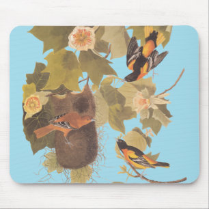 Baltimore Oriole Audubon Bird Family with Nest Mouse Pad