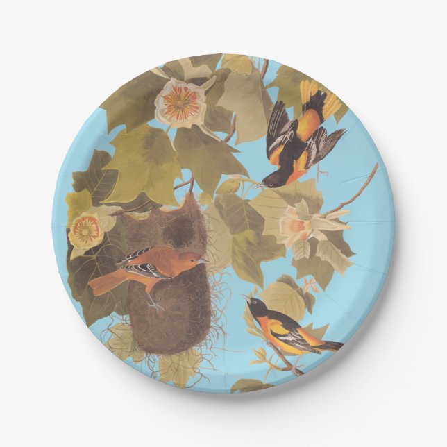 Baltimore Oriole Audubon Bird Family with Nest Paper Plate (Front)