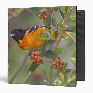 Baltimore Oriole Binder