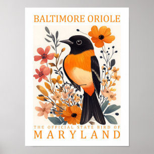 Baltimore Oriole Bird of Maryland USA Travel Poster