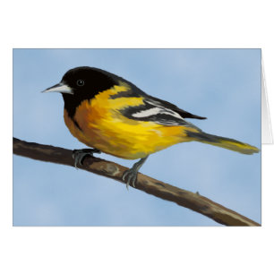 Baltimore Oriole Card