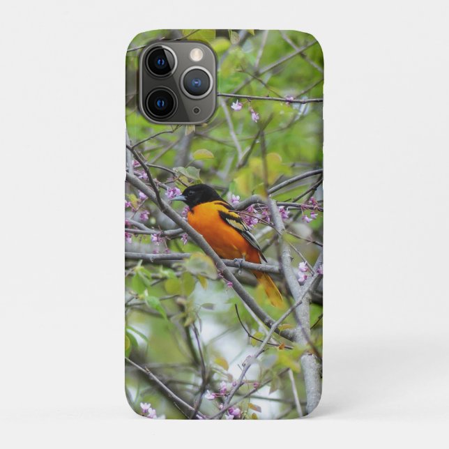 Baltimore Oriole Case-Mate iPhone Case (Back)