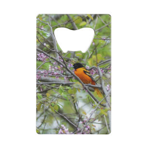 Baltimore Oriole Credit Card Bottle Opener