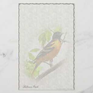 Baltimore Oriole Custom Stationery