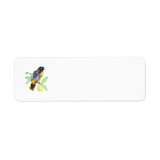 Baltimore Oriole Étiquettes d'adresse de retour