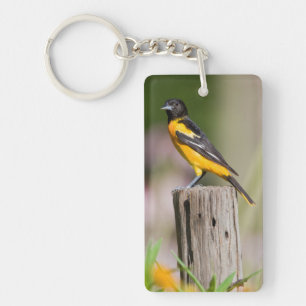 Baltimore Oriole female in flower garden Keychain