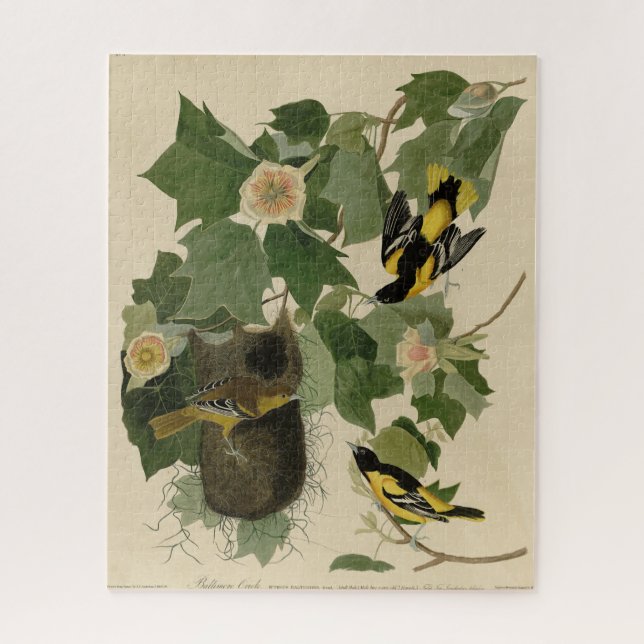 Baltimore Oriole - from Audubon's Birds of America Jigsaw Puzzle (Vertical)