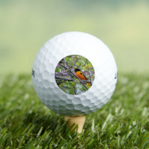 Baltimore Oriole Golf Balls