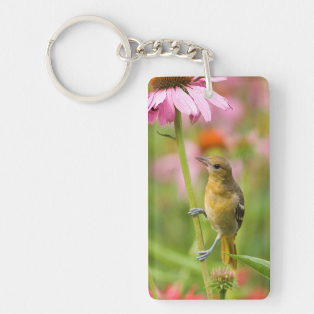 Baltimore Oriole Keychain (Front)