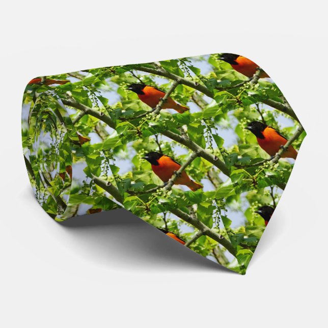 Baltimore Oriole Men's Tie (Rolled)