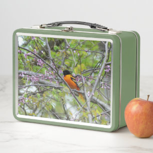 Baltimore Oriole Metal Lunch Box