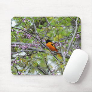Baltimore Oriole Mouse Pad