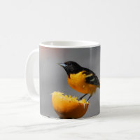 Baltimore Oriole mug