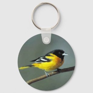 Baltimore Oriole on a branch Keychain
