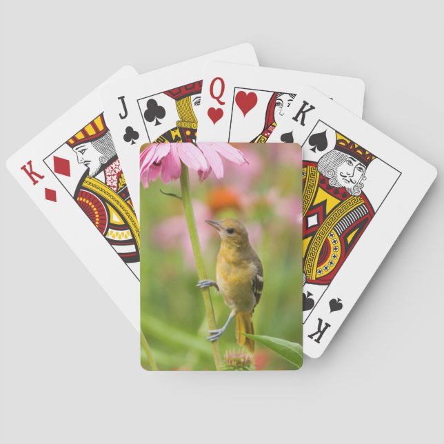 Baltimore Oriole Playing Cards (Back)
