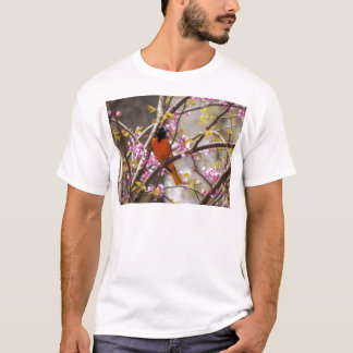 Baltimore Oriole T-Shirt