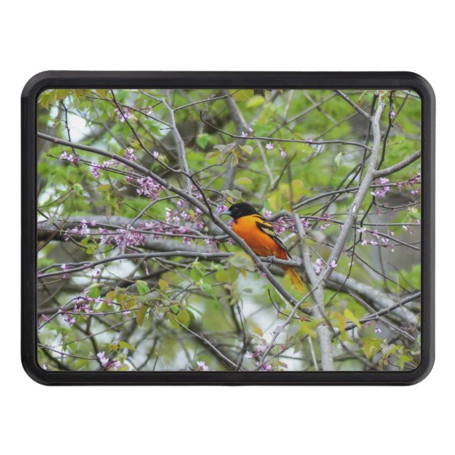 Baltimore Oriole Trailer Hitch Cover (Front)