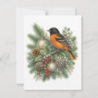 Baltimore Oriole Winter Songbirds Collection