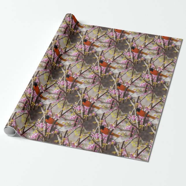 Baltimore Oriole Wrapping Paper (Unrolled)