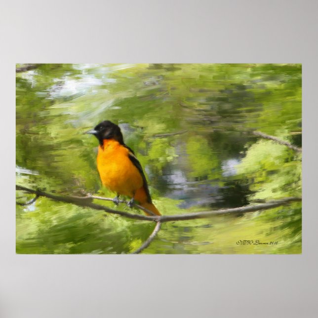 Baltimore Orioles DayDream Poster (Front)