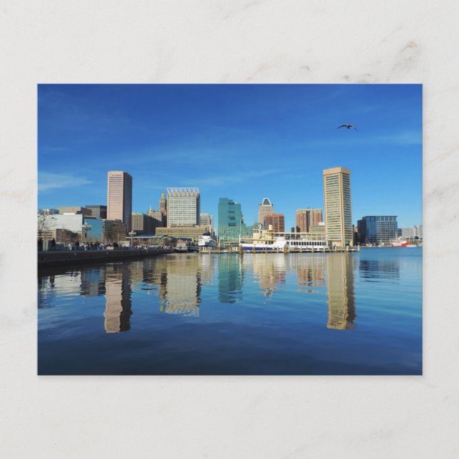 Baltimore Skyline Postcard (Front)