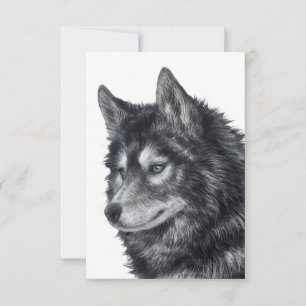 Balto Dog Art Card