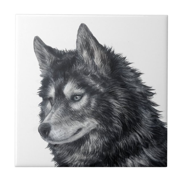 Balto Dog Tile (Front)