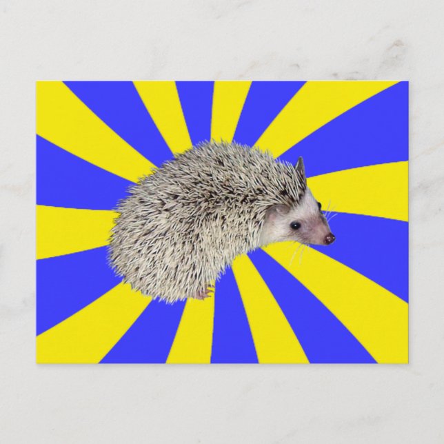 BAM ! Carte postale 2 (Devant)